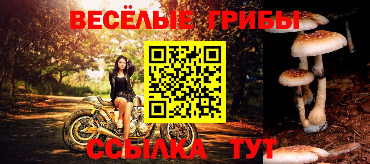 Псилоцибиновые грибы GOLDEN TEACHER Ржев