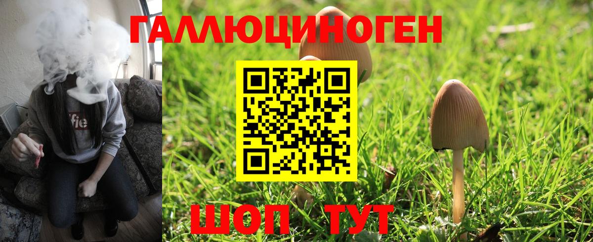 Псилоцибиновые грибы мухоморы  Галлюциногенные грибы Magic Shrooms  Ржев  Вход с VPN 